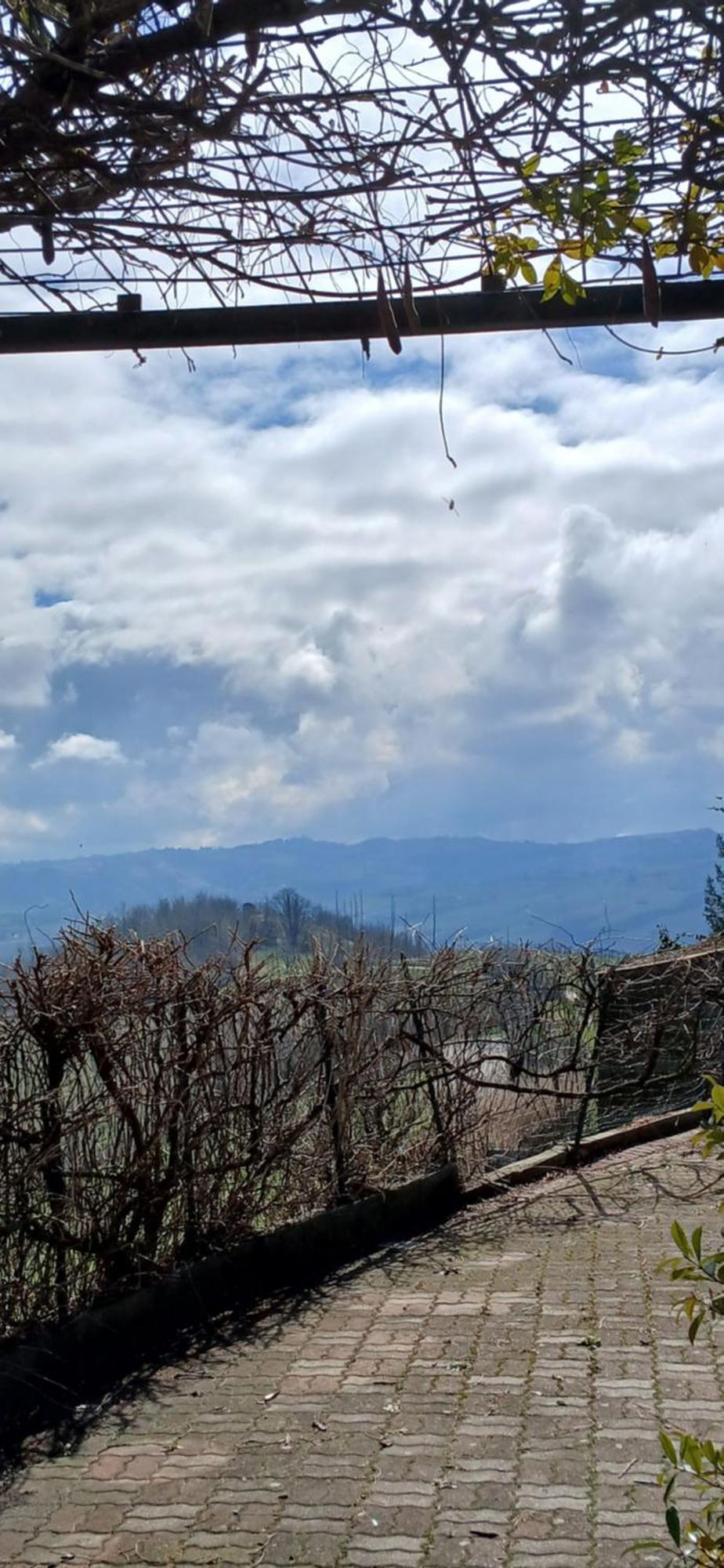 Casa Vacanza Il Colle Del Vento Calosso Exteriör bild