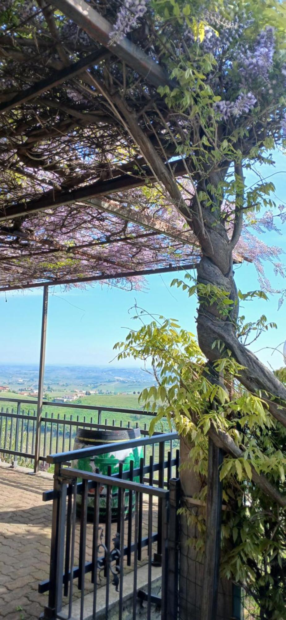 Casa Vacanza Il Colle Del Vento Calosso Exteriör bild
